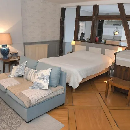 Apartamento Le Duplex Colmar Exterior foto